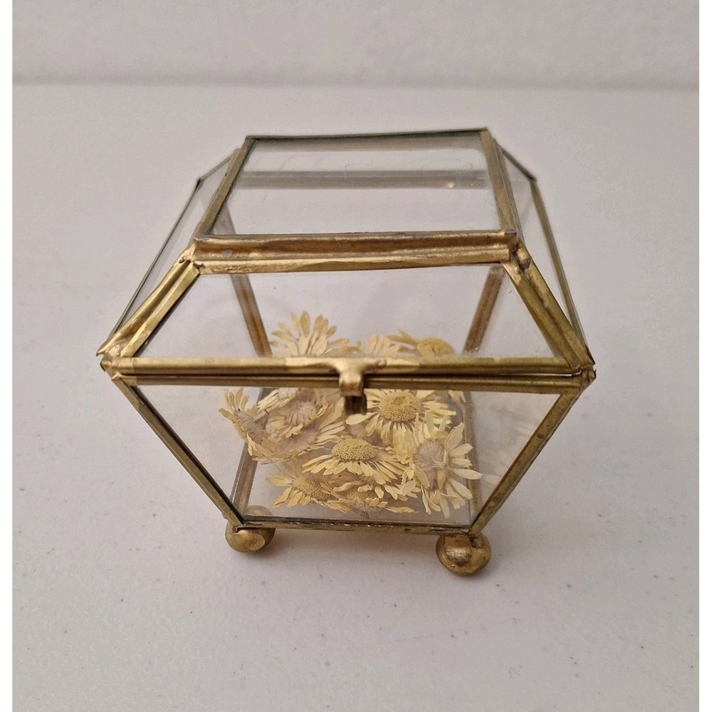 Antique Handmade Geometrical Trinket Display Box / Mini Terrarium Hinged Lid 4x4